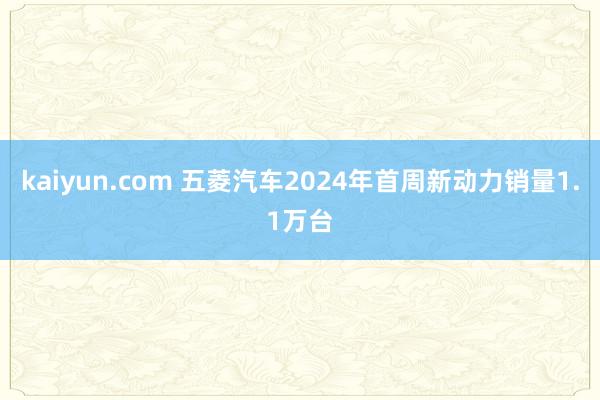 kaiyun.com 五菱汽车2024年首周新动力销量1.1万台