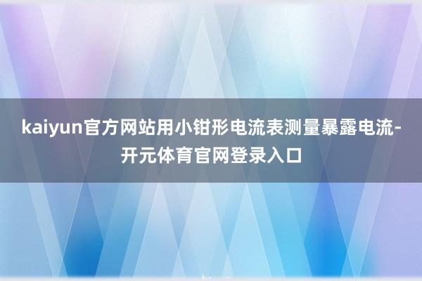 kaiyun官方网站用小钳形电流表测量暴露电流-开元体育官网登录入口