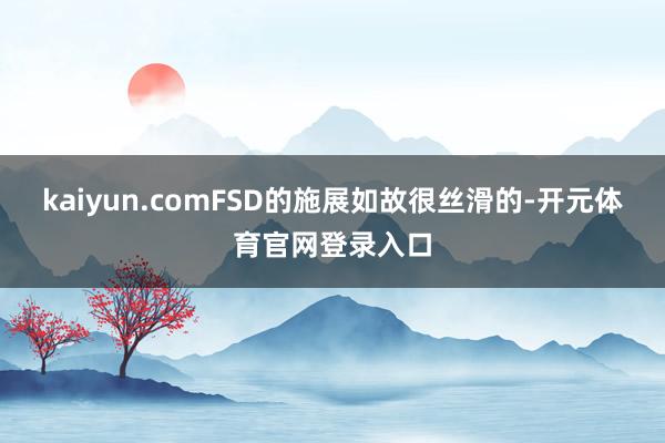 kaiyun.comFSD的施展如故很丝滑的-开元体育官网登录入口