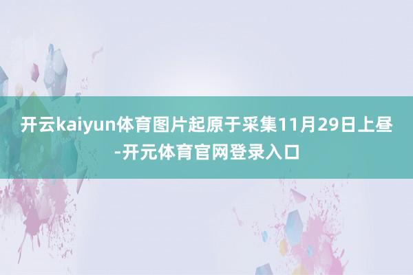 开云kaiyun体育图片起原于采集11月29日上昼-开元体育官网登录入口